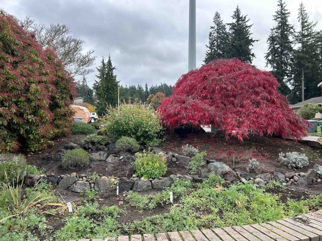 Cathy Gibbins Edmonds Intallation and Garden Trillium Landscape Design