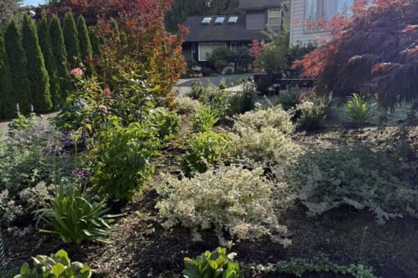 8CE0E0C7-38D0-4F63-B794-55C698A97A1E_1_105_c