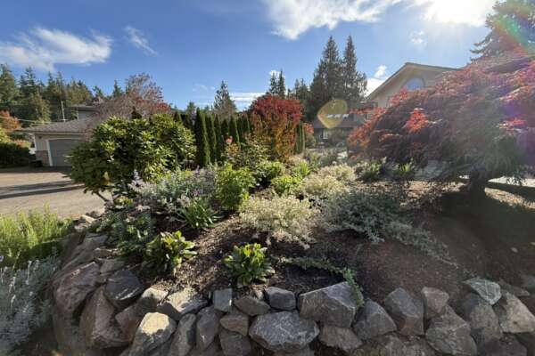 D2AC8F07-CB08-407A-A2F6-877DE18EFA9A_1_105_c