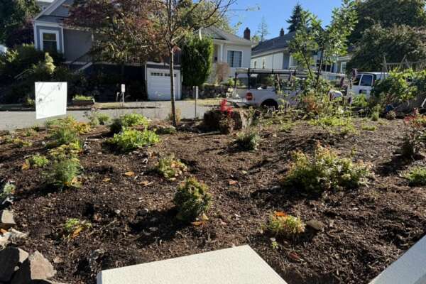 F1AA1CC6-AB04-4B2C-9A7E-EAF25B44E0F4_1_105_c